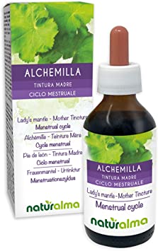 Alchemilla Urtinktur alkoholfrei