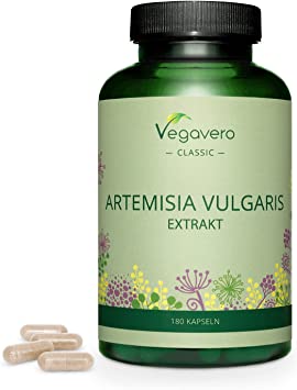 Artemisia vulgaris Extrakt in Kapseln
