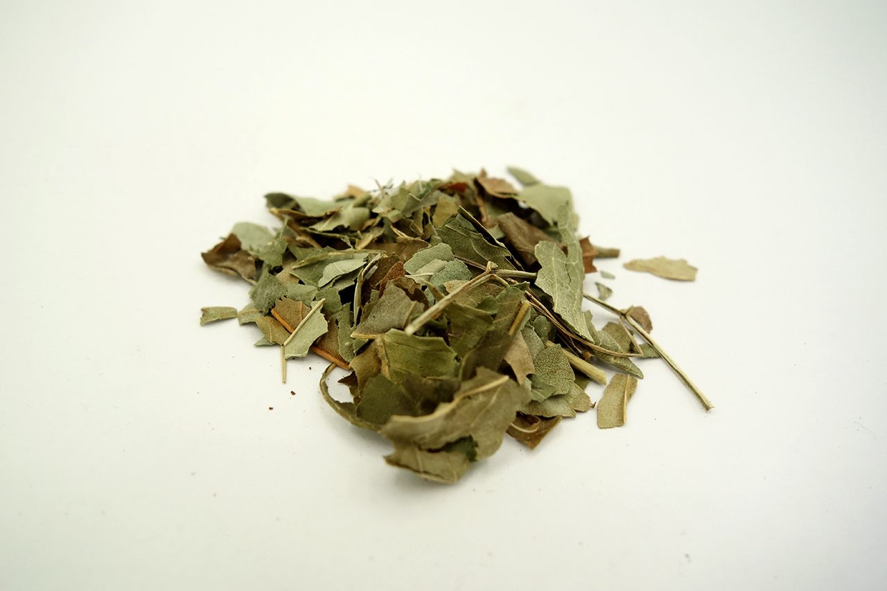 Eschenblätter Tee